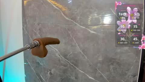 Adhara S online show from April 18, 2026, 12:09 pm