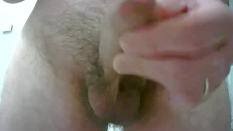 adi2019 online show from November 24, 2025, 4:51 pm