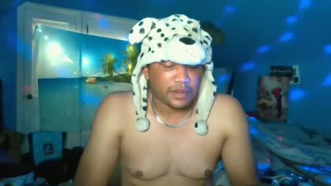 Snapshot of adoniswoody chatting on June 26, 2026, 3:00 am Adonis XDDDDDDDD Woody online show from June 26, 2026, 3:00 am