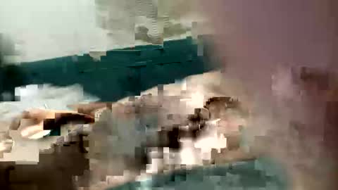 adrodiarellano online show from October 13, 2025, 2:22 am