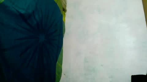 Snapshot of aelyaa chatting on June 14, 2026, 4:58 am aelyaa online show from June 14, 2026, 4:58 am