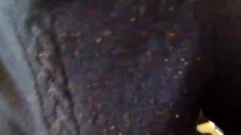 aesthetic form online show from January 17, 2026, 8:56 pm