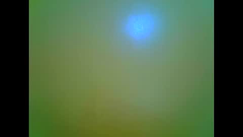 afrikana005 online show from April 5, 2026, 3:42 pm