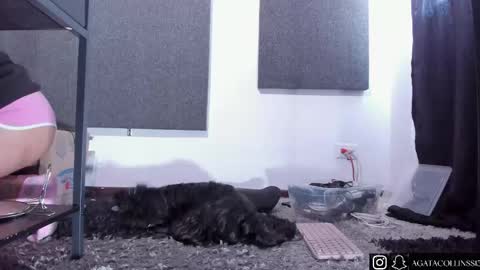 Agata Collinss online show from April 14, 2026, 5:08 pm