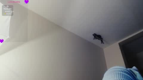 Erika for you online monday to saturday 7am a 2pm Gmt-5 Colombia Time online show from March 29, 2026, 2:33 am