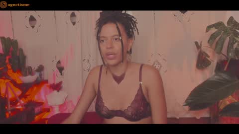 agnetism online show from December 26, 2024, 5:04 am