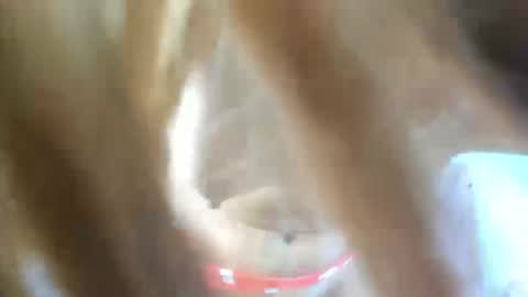 aisha_violeht online show from February 25, 2026, 2:37 pm