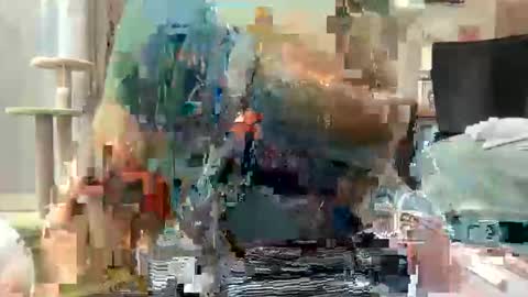 Akira Zay online show from March 1, 2026, 7:54 am