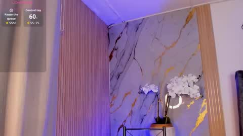   Schedule 700a.m - 200p.m Col hour online show from November 12, 2025, 12:27 pm