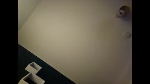 alannovak8 online show from November 20, 2025, 12:00 am