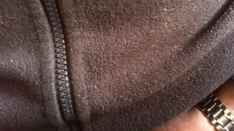 albert29 online show from February 14, 2026, 10:34 am