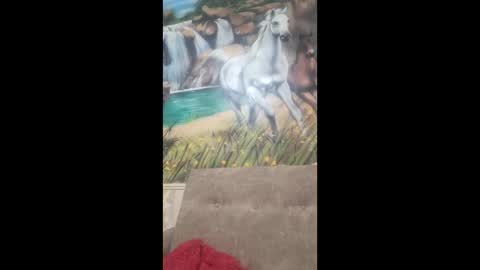 Snapshot of albina6543 chatting on February 9, 2026, 8:40 am albina online show from February 9, 2026, 8:40 am