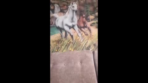 Snapshot of albina6543 chatting on February 13, 2026, 9:49 am albina online show from February 13, 2026, 9:49 am