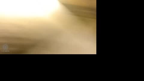 alechiker420x online show from January 9, 2025, 7:21 am