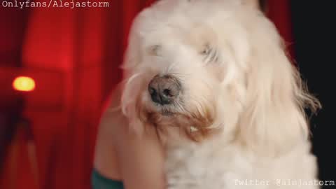 Alejandra online show from February 26, 2026, 1:15 am