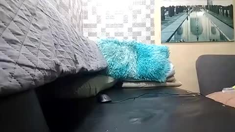 haden online show from April 1, 2026, 2:23 am