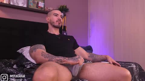 Snapshot of alejo_wolf chatting on February 10, 2026, 1:32 am Alejo online show from February 10, 2026, 1:32 am