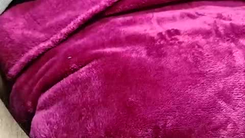 alessandrodmv online show from June 9, 2026, 10:05 am