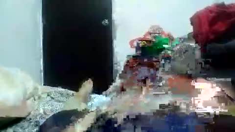 Alexamdergal online show from January 11, 2025, 3:13 am