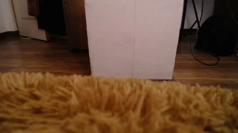 Snapshot of alexamoon__ chatting on December 10, 2024, 5:44 pm Alexa Moon online show from December 10, 2024, 5:44 pm