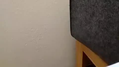 alexanderhub01 online show from October 4, 2025, 1:53 pm