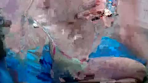 Doggystyle online show from December 25, 2024, 6:52 pm