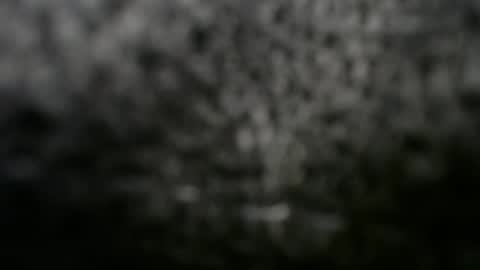 Doggystyle online show from March 8, 2025, 12:11 am