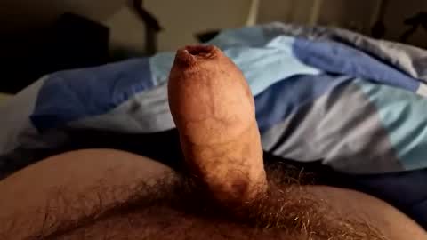 alfred2349 online show from October 4, 2025, 11:36 pm