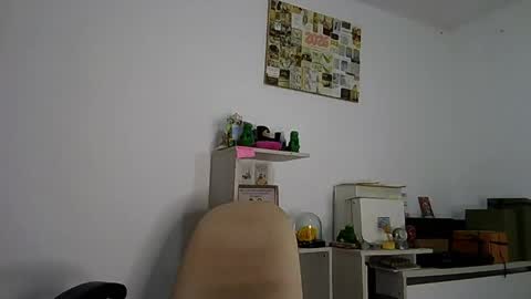 Alia      Anjali  online show from March 17, 2026, 12:52 pm