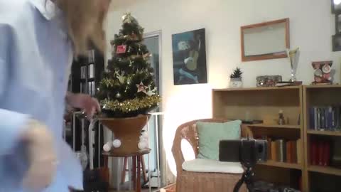 Alice online show from December 17, 2024, 2:55 pm