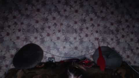 alice longstocking online show from February 7, 2026, 3:38 pm