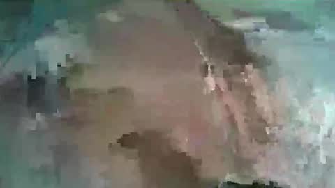 Aline LoveFlowers online show from January 17, 2026, 10:24 pm