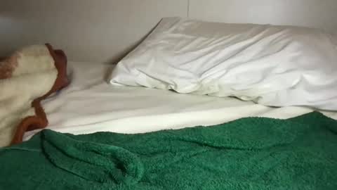 Ali Roxy online show from October 16, 2025, 3:02 pm