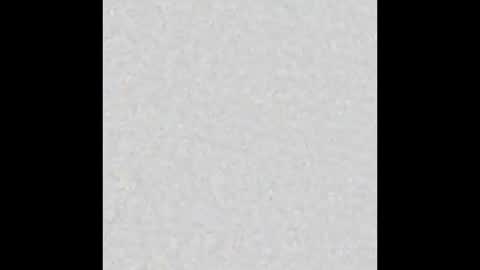 Alisse online show from December 15, 2025, 12:42 pm