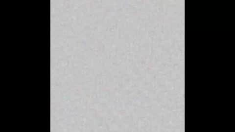 Alisse online show from March 24, 2026, 11:59 am