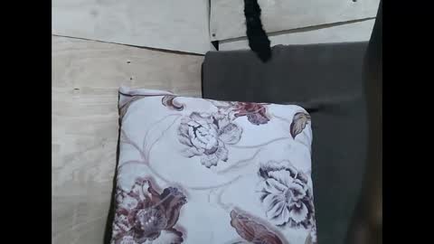 Snapshot of allie_quin chatting on February 10, 2026, 11:14 am Allie online show from February 10, 2026, 11:14 am