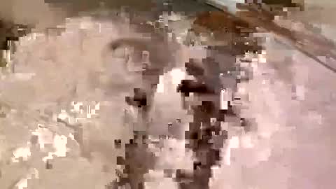 Snapshot of allman617 chatting on November 16, 2025, 11:54 pm allman617 online show from November 16, 2025, 11:54 pm