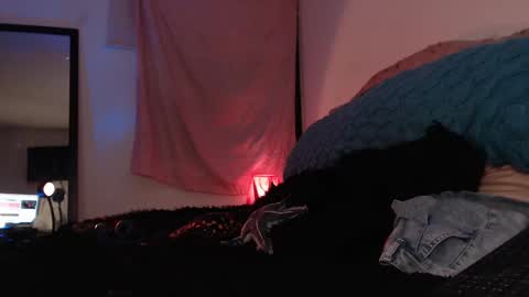 Snapshot of ally_donfort chatting on February 16, 2025, 12:52 am Ally online show from February 16, 2025, 12:52 am