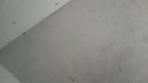 Contreras online show from October 7, 2025, 12:13 pm