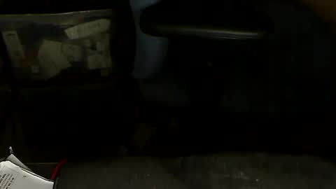 Snapshot of aloooopyscot chatting on January 20, 2025, 7:04 pm Loooopy online show from January 20, 2025, 7:04 pm