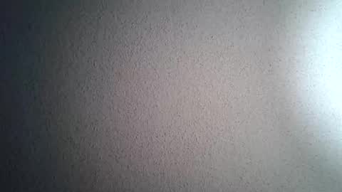 Snapshot of aloooopyscot chatting on February 16, 2025, 9:26 am Loooopy online show from February 16, 2025, 9:26 am