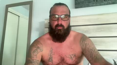 Snapshot of alphareign85 chatting on August 7, 2026, 6:43 pm alphareign85 online show from August 7, 2026, 6:43 pm