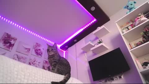 amazing_agness online show from February 23, 2025, 7:00 am