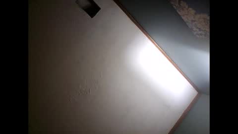 Snapshot of ambularalertisback chatting on January 20, 2025, 11:32 pm One Youre Looking For online show from January 20, 2025, 11:32 pm