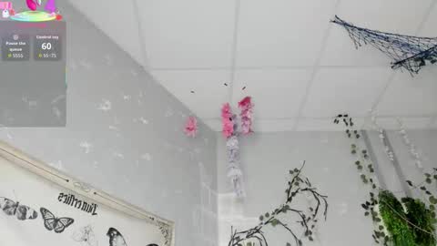 Snapshot of ameli_povilainn chatting on February 14, 2026, 3:03 am Ameli online show from February 14, 2026, 3:03 am