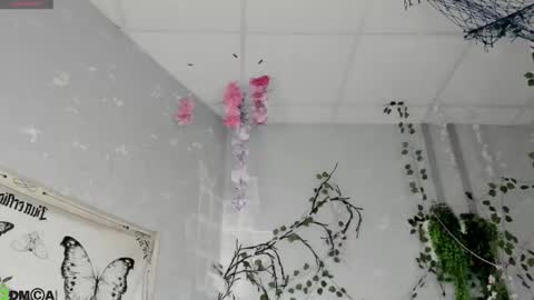 Snapshot of ameli_povilainn chatting on February 18, 2026, 2:29 am Ameli online show from February 18, 2026, 2:29 am