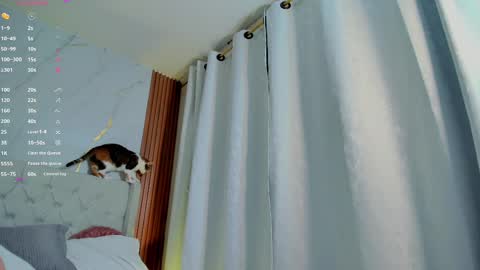 Snapshot of amelie_leigh chatting on February 28, 2025, 7:37 am Alejandra online show from February 28, 2025, 7:37 am