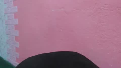 Mari online show from March 17, 2026, 2:31 pm