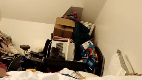 amileamariestar online show from December 16, 2024, 7:15 am