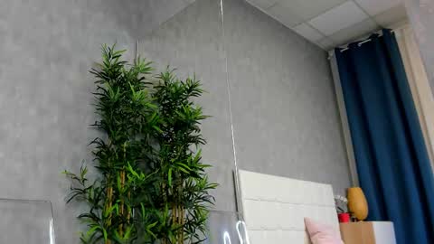 amirarees online show from October 29, 2025, 6:48 am